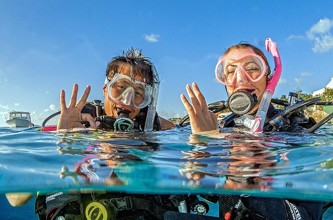 Saona Diving - Saona underwater time: tranquil conditions and a more relaxed rhythm
