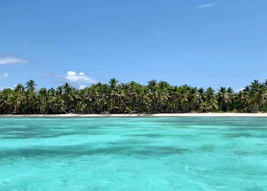 Saona Exclusive Catamaran – Small Group Experience - The Dominican Buffet Lunch: Simple, Filling, and Built for Pickiness