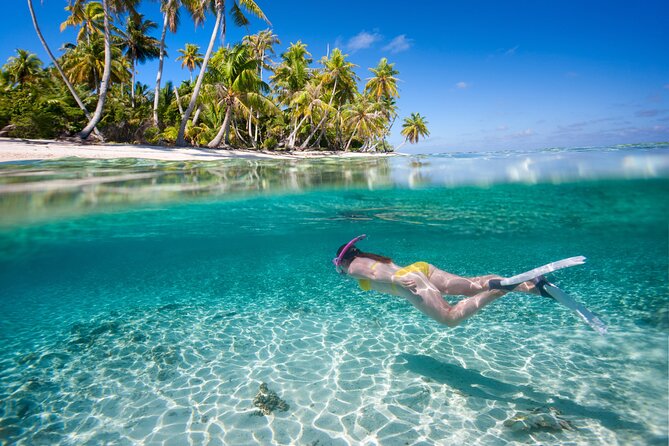 Saona Island Adventure: Natural Pool & All-Inclusive Drinks - Key Highlights You Should Actually Care About