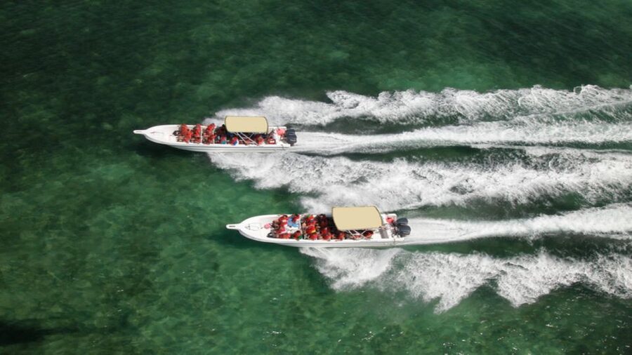 Saona Island All Inclusive Tour - Quick Hits From Saona in a Single Day