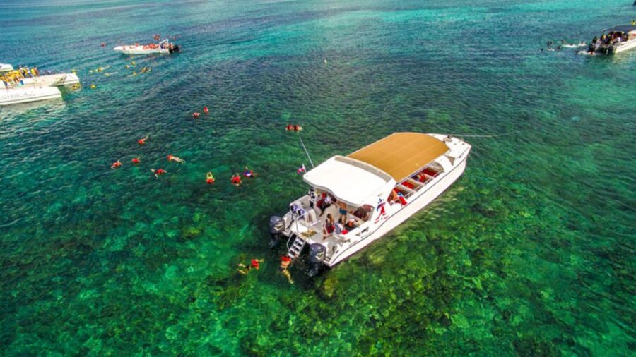 Saona Island All Inclusive Tour - Saona Island From Bayahibe, and Why This Day Trip Works