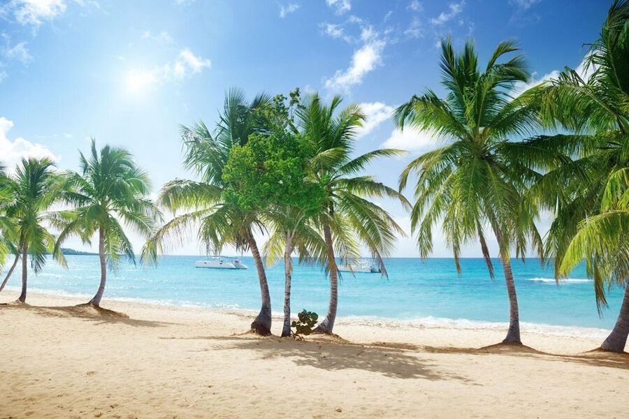 Saona Island All Inclusive Tour - The Hidden Shallow Natural Pool: Warm Water Swim and Limited Time