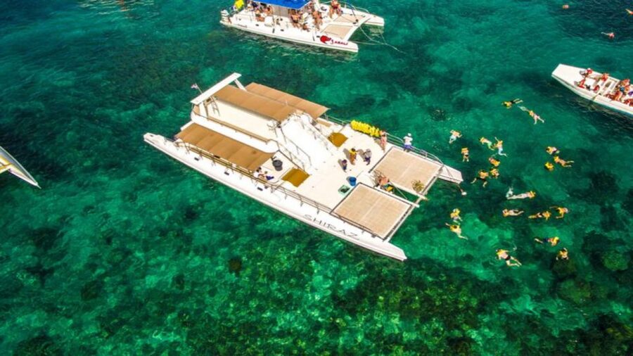 Saona Island All Inclusive Tour - Saona Beach Time: Activities Included, Crowds Possible