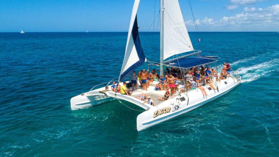 Saona Island All Inclusive Tour - Guide Languages and Service Quality: How to Reduce Surprises