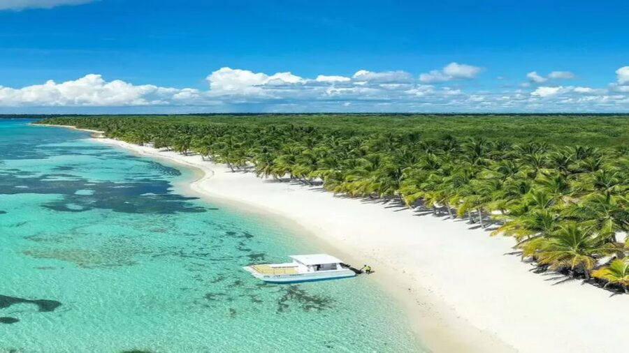 Saona Island All Inclusive Tour - Getting There and Timing: The Morning Pickup and the 8.5-Hour Reality