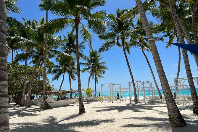 Saona Island and Chavon River Tour with Lunch and Drinks - Key things to know before you go
