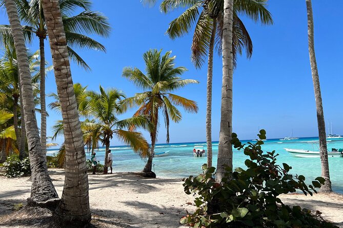 Saona Island and Chavon River Tour with Lunch and Drinks - Chavón River speedboat: the energetic start that sets the tone