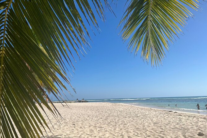Saona Island and Chavon River Tour with Lunch and Drinks - Price and value: what you get for $105, plus possible add-ons