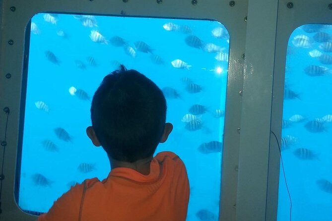 Saona Island at Yellow Submarine Exclusive Tour from Punta Cana - Who this tour suits best, and who might rethink it
