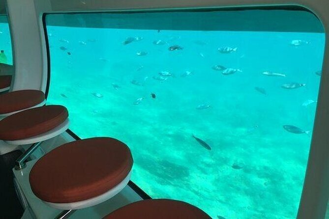 Saona Island at Yellow Submarine Exclusive Tour from Punta Cana - Should you book the Yellow Submarine Exclusive Saona trip?