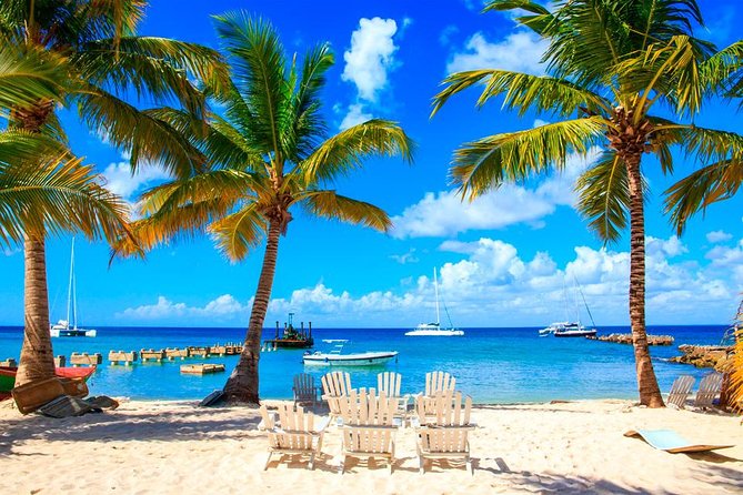 Saona Island by Paradise Travel - What Makes Saona Island by Paradise Travel Work