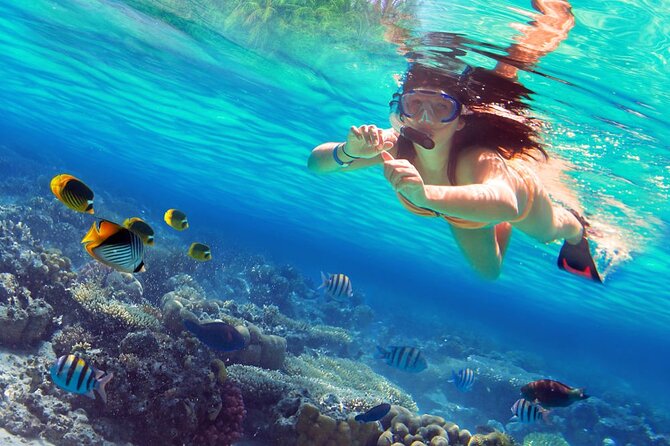 Saona Island by Paradise Travel - Price and Value: Is $80 a Good Deal?