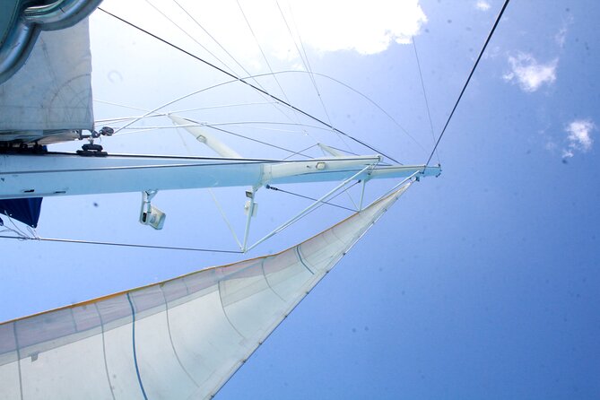 Saona Island by Paradise Travel - Should You Book Saona Island by Paradise Travel?