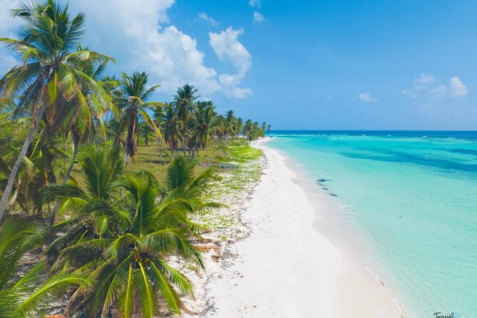 Saona Island Caramaran Adventure from Punta Cana With Lunch - Who this Saona adventure fits best