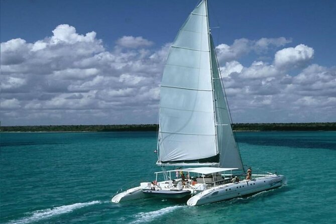 Saona Island Catamaran Adventure with Free Food and Transportation - Key points before you go
