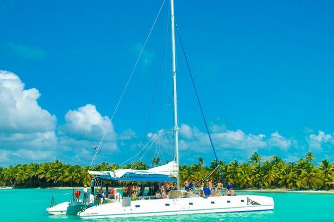 Saona Island Catamaran Adventure with Free Food and Transportation - Group size, noise level, and who this tour suits best