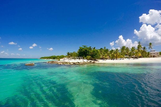 Saona Island Catamaran Cruise Experience (All Inclusive) - Price and value: what $99 buys you in real life