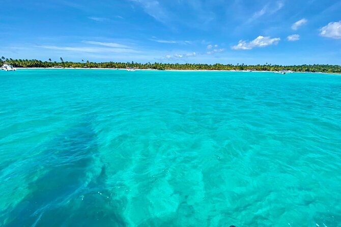 Saona Island Catamaran Cruise Experience (All Inclusive) - What the 8-hour schedule feels like, stop by stop