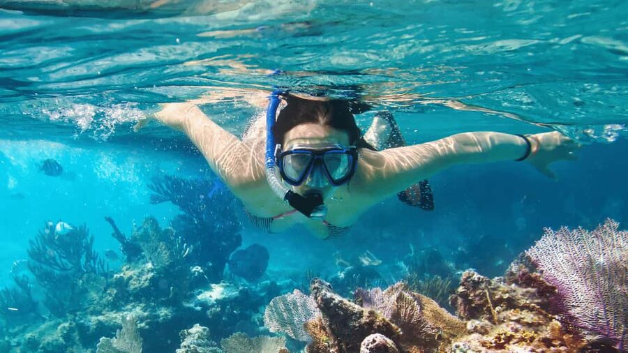 Saona Island: Catamaran Excursion with Lunch and Drinks - Price and Value: Is $60 a Good Deal for Saona Island?