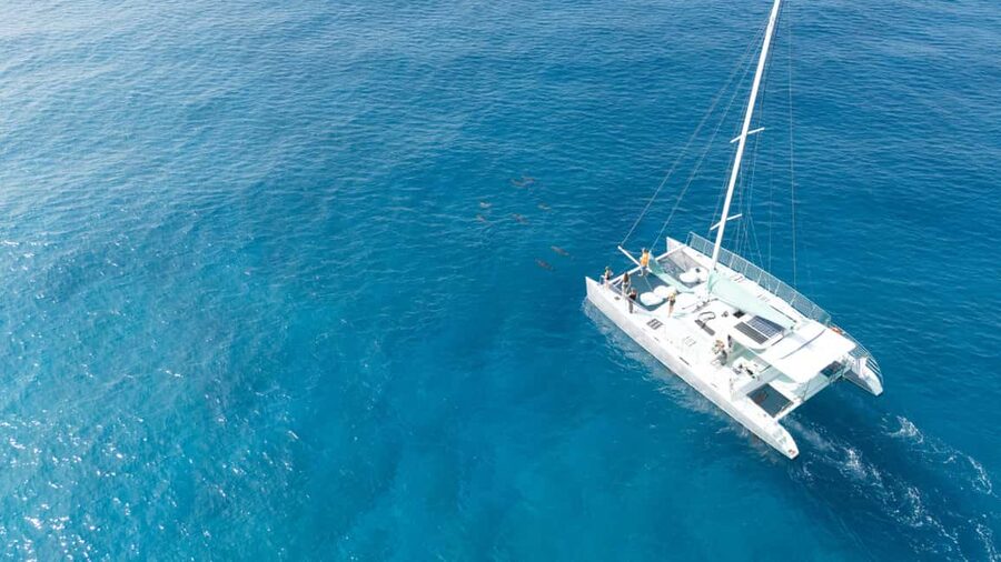 Saona Island: Catamaran Excursion with Lunch and Drinks - Who Should Book This Saona Island Excursion, and Who Should Skip It