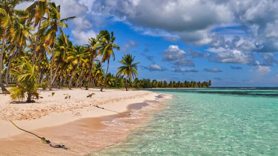 Saona Island: Catamaran Excursion with Lunch and Drinks - Catamaran or Speedboat Ride: Music, Drinks, and the Party Volume