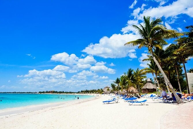 Saona Island Catamaran For Small Group Hotel Pick Food Drink - Key things I’d bet on before you go