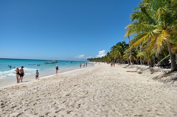 Saona Island Catamaran For Small Group Hotel Pick Food Drink - Natural pool and starfish spotting: how to enjoy it without the pressure