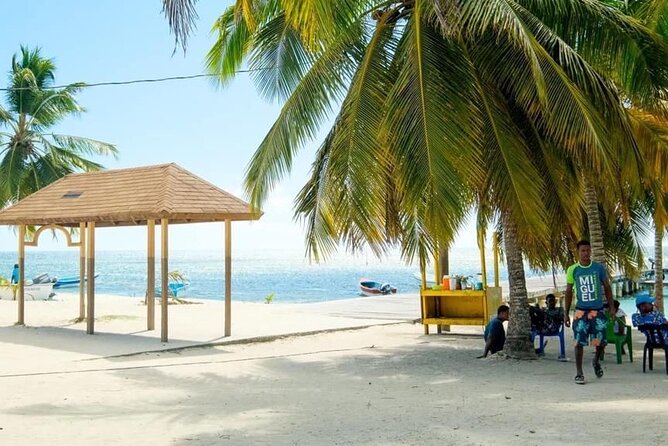 Saona Island Catamaran For Small Group Hotel Pick Food Drink - Swimming and snorkeling time: make it easy on yourself