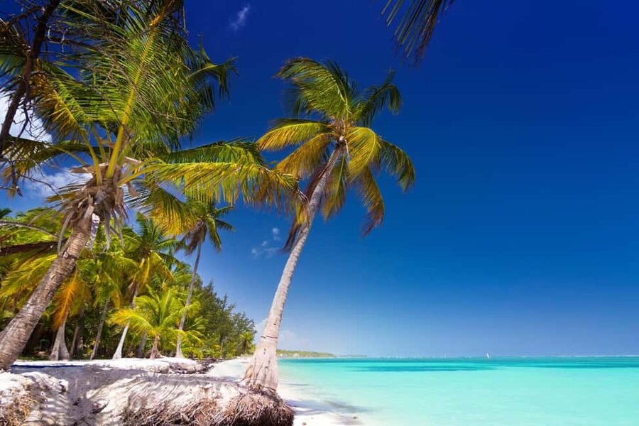 Saona Island: Catamaran/Speedboat Tour to a Dream Beach - Price and logistics: the real decision points
