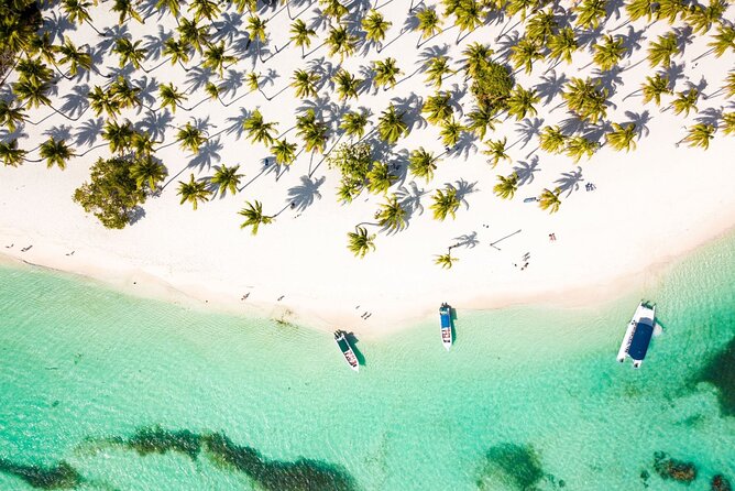 Saona Island Cruise & Private Beach - Key highlights worth planning around