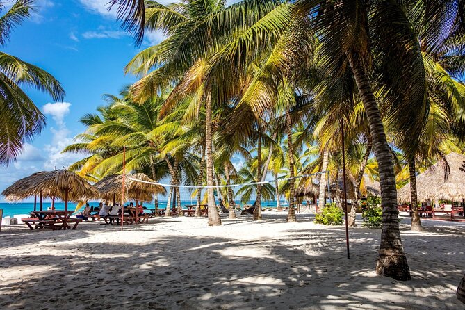 Saona Island Cruise & Private Beach - Snorkeling over sandbanks: fun, easy, and reef-friendly