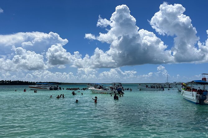 Saona Island Day Tour - Timing, Transfers, and Why Your Arrival Matters