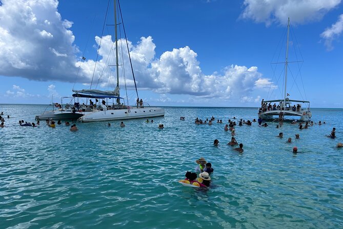 Saona Island Day Tour - Catamaran or Speedboat to Saona, What You Should Expect