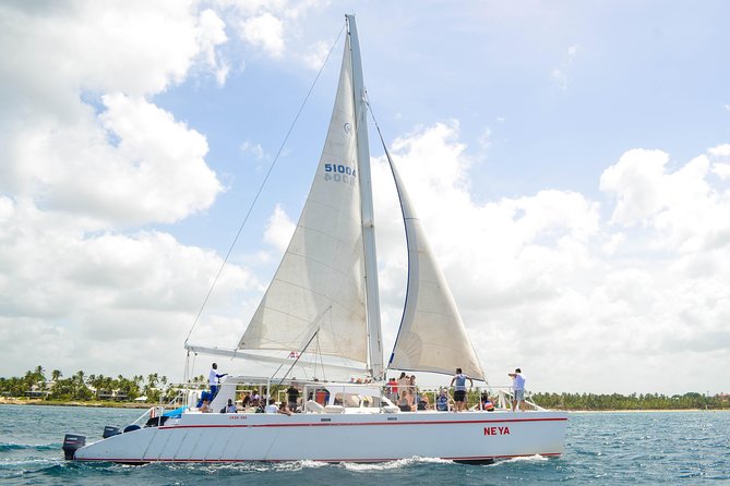 Saona Island Day Trip - Key Highlights You Should Know Before You Go