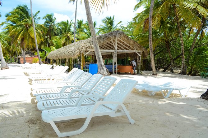 Saona Island Day Trip - Isla Saona: Beaches and Sea Time That Don’t Drag