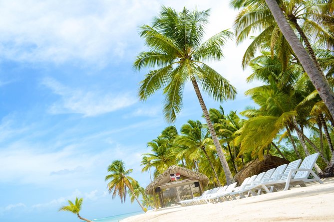 Saona Island Day Trip - Boats: Speed Boat vs Catamaran (and What That Changes)