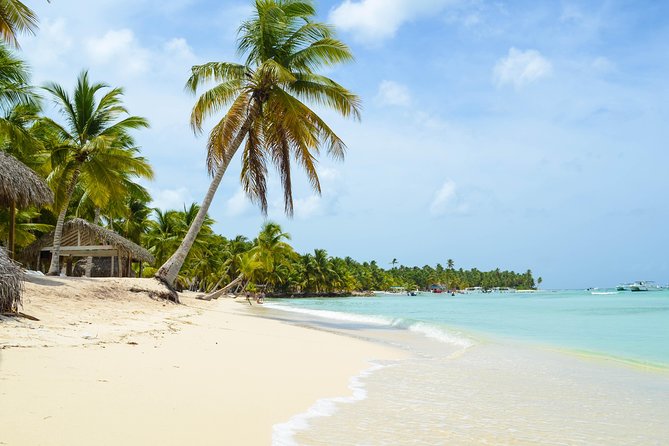 Saona Island Day Trip - Lunch, Drinks, and the Real Value of an Included Meal