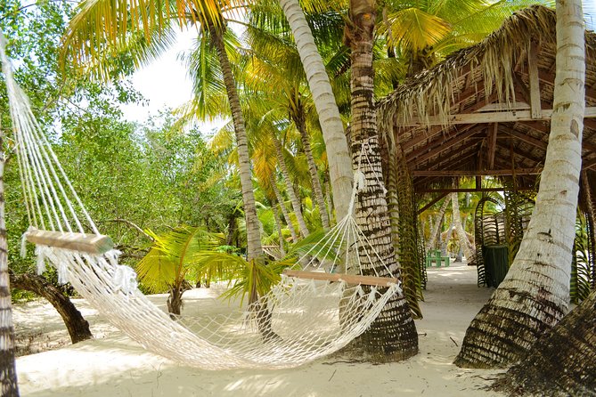 Saona Island Day Trip - Eco Reality Check: Plastic, Reusables, and Common Sense