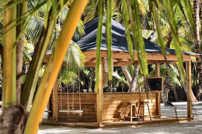 Saona Island Day Trip and Cruise from Punta Cana - Natural pool in the Atlantic, plus boat music on the return