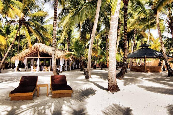 Saona Island Day Trip and Cruise from Punta Cana - Who this trip is best for (and who should skip it)