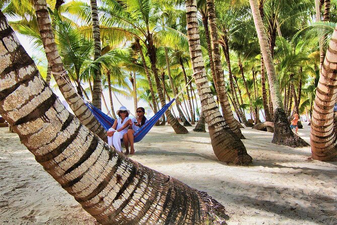 Saona Island Day Trip and Cruise from Punta Cana - Saona Island stop: big island scale, park setting, and time on the ground