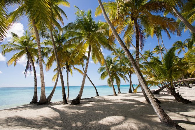 Saona Island Day Trip From Punta Cana with Lunch and Open Bar - Key things I’d lock in before you go