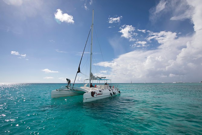 Saona Island Day Trip From Punta Cana with Lunch and Open Bar - Saona Island beach time: 3 hours of white sand reality