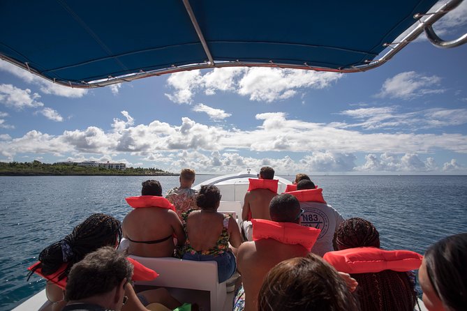 Saona Island Day Trip From Punta Cana with Lunch and Open Bar - Lunch, snacks, and open bar: the included stuff and what to expect