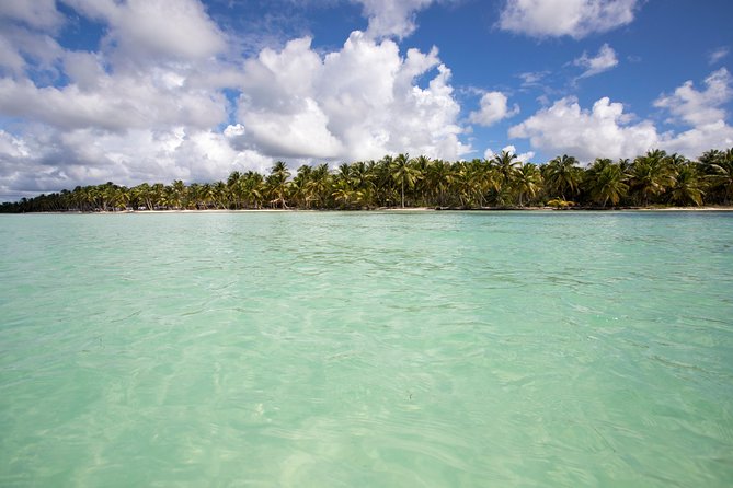 Saona Island Day Trip From Punta Cana with Lunch and Open Bar - Return on catamaran: party energy, then sleep