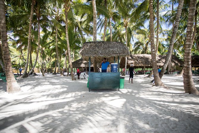 Saona Island Day Trip From Punta Cana with Lunch and Open Bar - Price and logistics: is $82 good value?