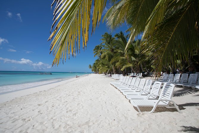 Saona Island Day Trip From Punta Cana with Lunch and Open Bar - Catamaran Energy, Open Bar, and the Music-and-Party Style Ride
