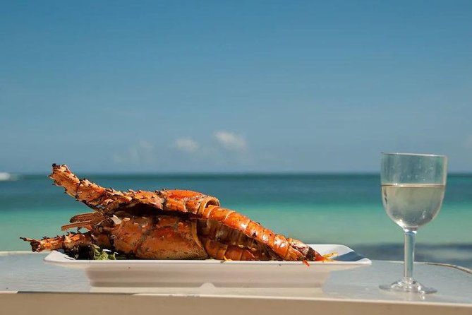Saona Island Day Trip + Lobsters Included - Key Takeaways Before You Go