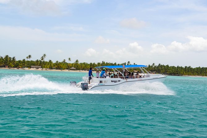 Saona Island Day Trip + Lobsters Included - Isla Saona Beach Time: White Sand and Natural Reserve Vibes