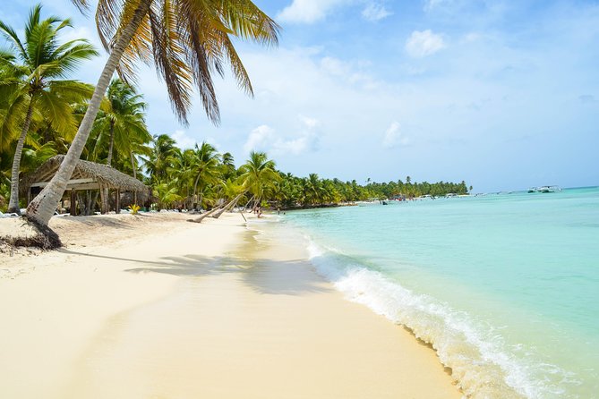 Saona Island Day Trip + Lobsters Included - Food and Drinks: The Lobster Deal and How to Protect Yourself